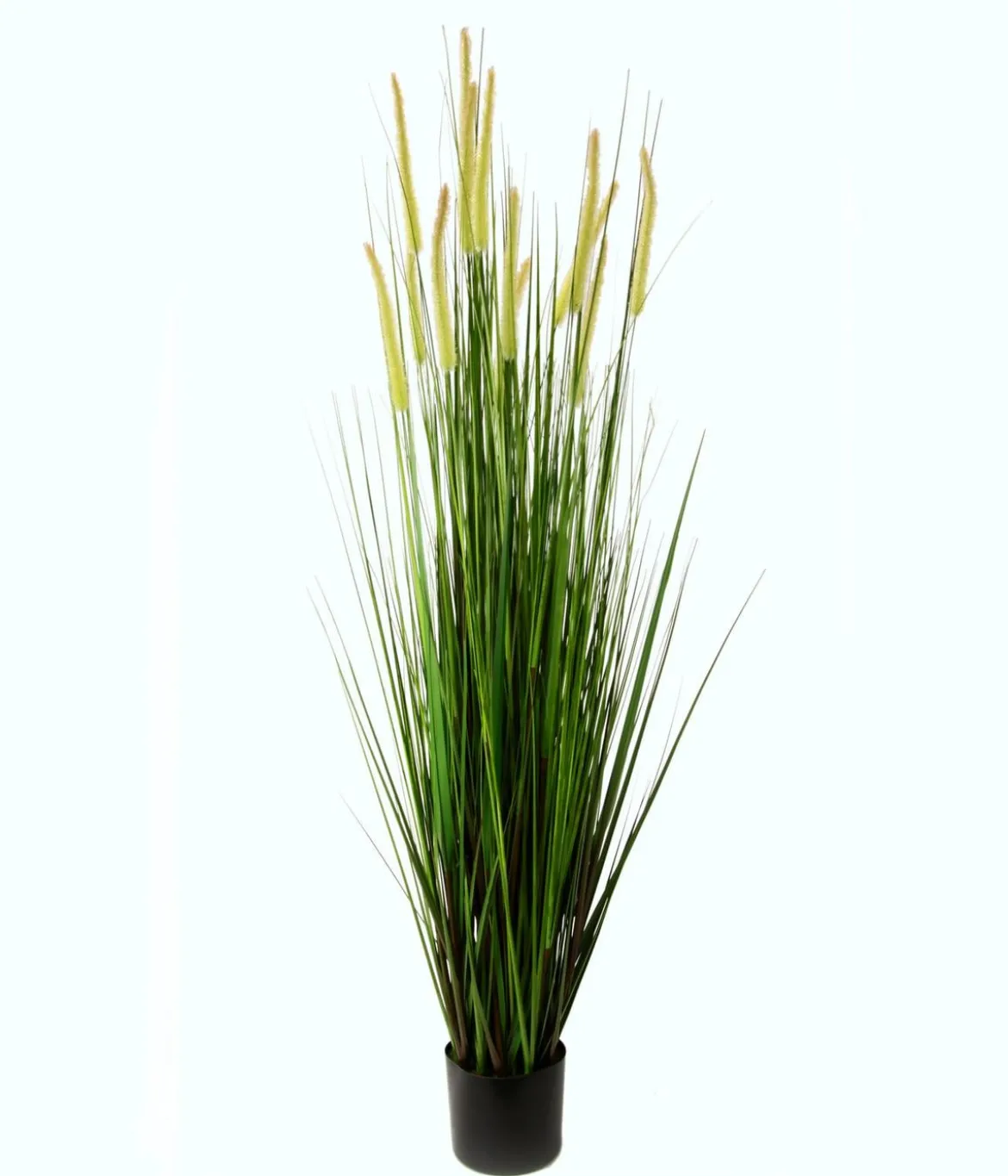 I.GE.A. Kunstpflanze Fuchsschwanzgras im Topf, ca. H150 cm