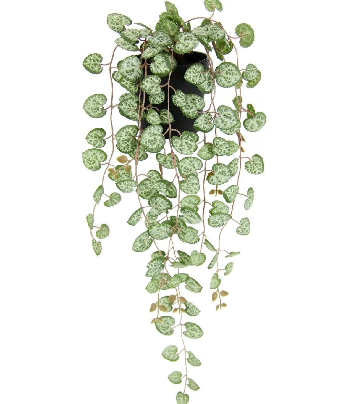 I.GE.A. Kunstpflanze Leuchterblume im Kunststoff-Topf, ca. H23 cm