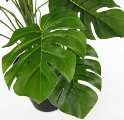 I.GE.A. Kunstpflanze Monstera im Wasserhyazinthentopf, ca. H46 cm