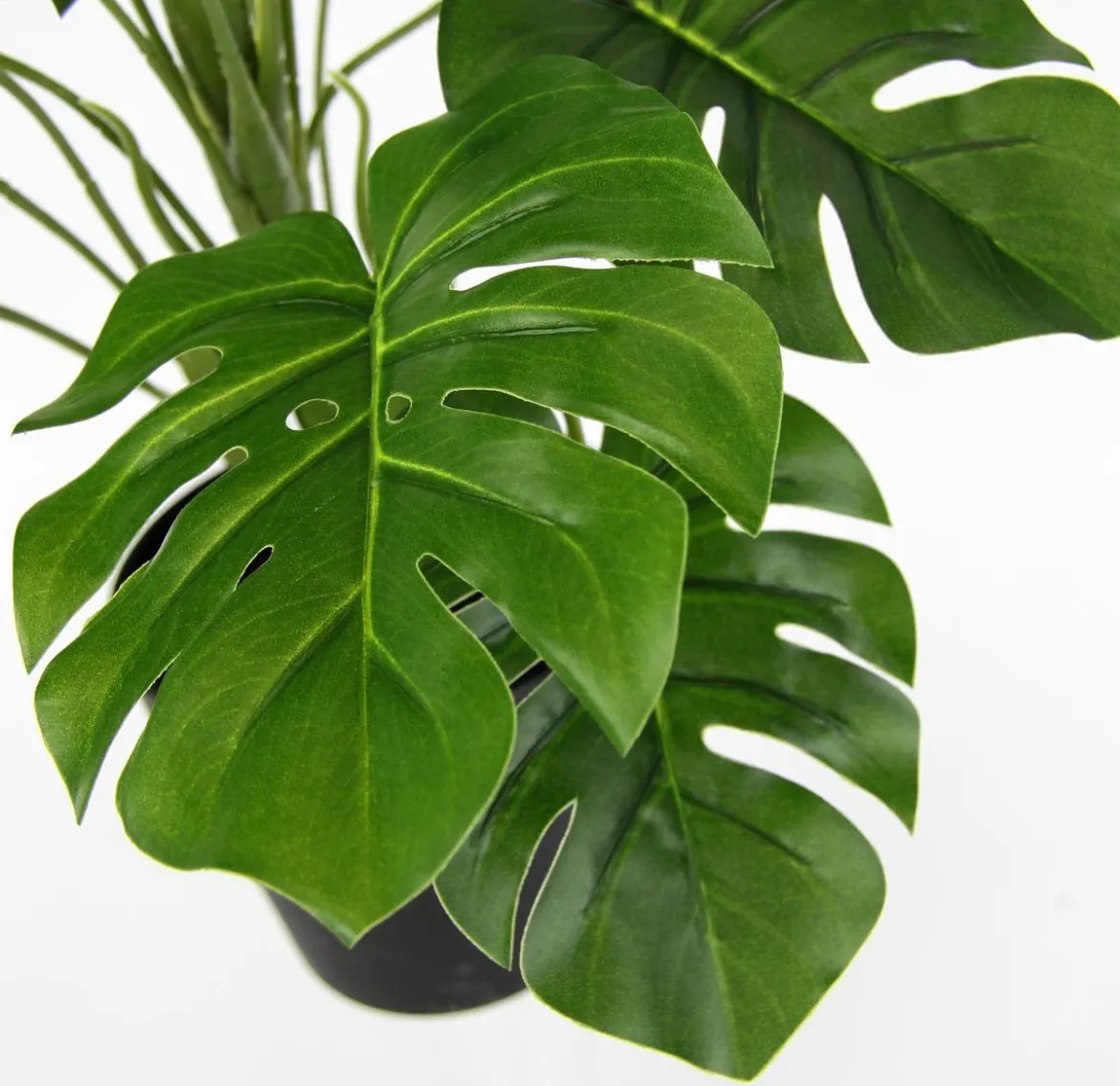 I.GE.A. Kunstpflanze Monstera im Wasserhyazinthentopf, ca. H46 cm