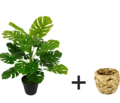 I.GE.A. Kunstpflanze Monstera im Wasserhyazinthentopf, ca. H46 cm