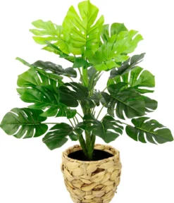 I.GE.A. Kunstpflanze Monstera im Wasserhyazinthentopf, ca. H46 cm