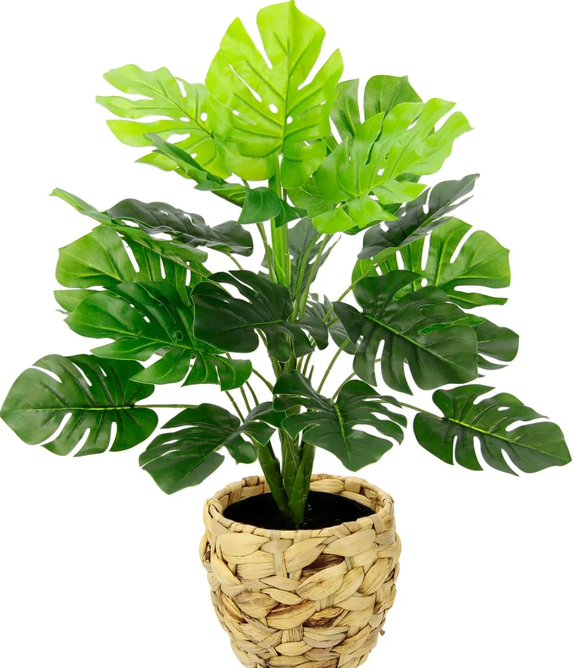 I.GE.A. Kunstpflanze Monstera im Wasserhyazinthentopf, ca. H46 cm