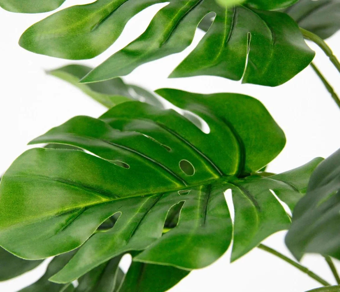 I.GE.A. Kunstpflanze Monstera im Wasserhyazinthentopf, ca. H46 cm