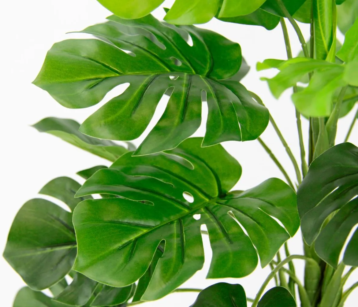 I.GE.A. Kunstpflanze Monstera im Wasserhyazinthentopf, ca. H46 cm