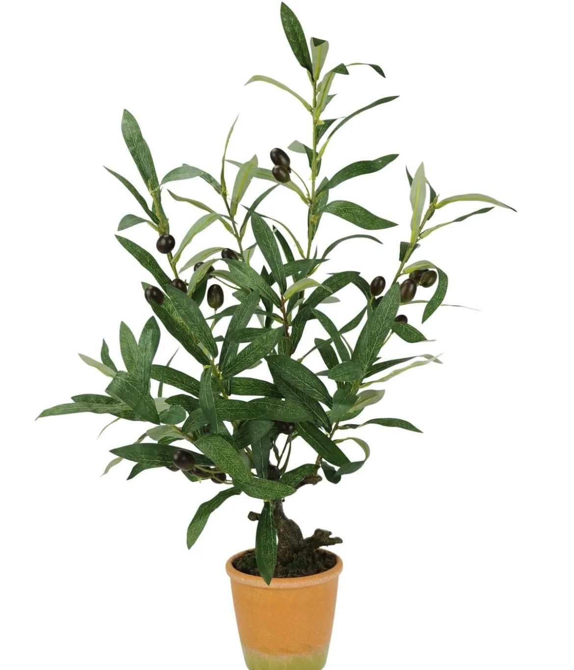 I.GE.A. Kunstpflanze Olive mit schwarzen Oliven, im Topf, ca. H57 cm