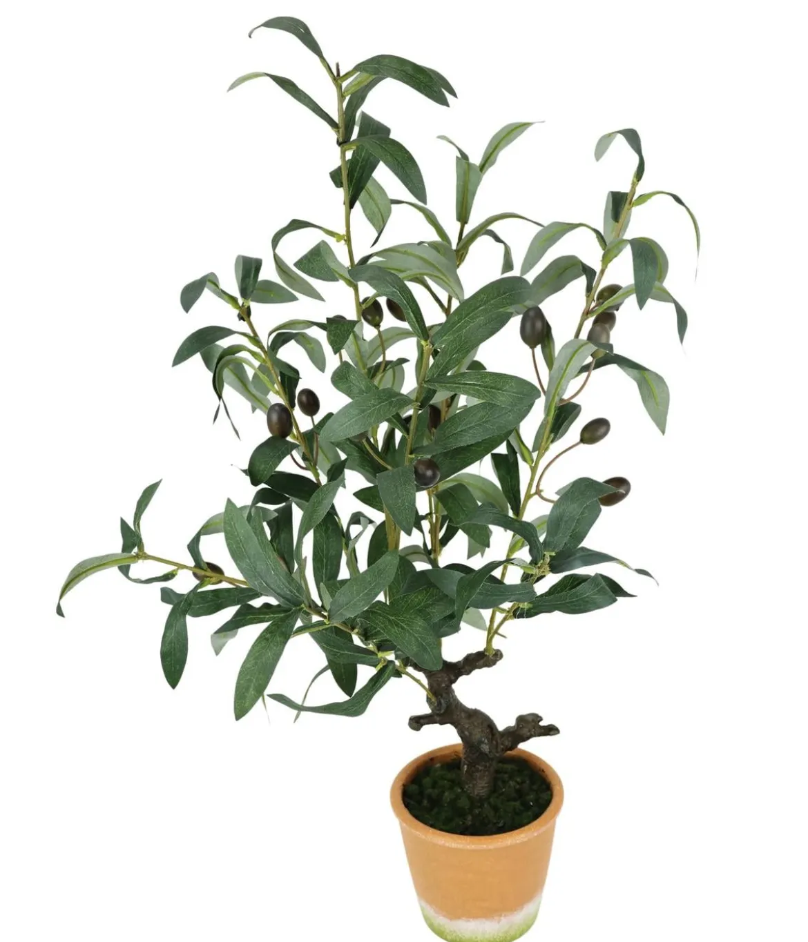 I.GE.A. Kunstpflanze Olive mit schwarzen Oliven, im Topf, ca. H57 cm