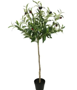 I.GE.A. Kunstpflanze Olivenbaum mit schwarzen Oliven, im Topf, ca. H80 cm