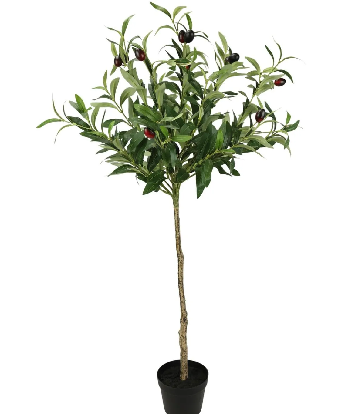 I.GE.A. Kunstpflanze Olivenbaum mit schwarzen Oliven, im Topf, ca. H80 cm