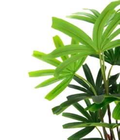 I.GE.A. Kunstpflanze Palme Rhapis im Topf, ca. H88 cm