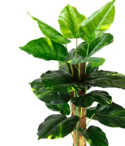 I.GE.A. Kunstpflanze Pothos im Topf, ca. H80 cm