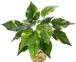I.GE.A. Kunstpflanze Pothos im Wasserhyazinthentopf, ca. H40 cm