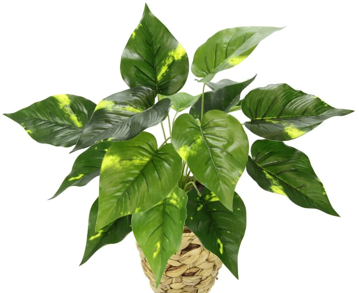 I.GE.A. Kunstpflanze Pothos im Wasserhyazinthentopf, ca. H40 cm