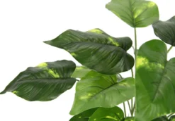 I.GE.A. Kunstpflanze Pothos im Wasserhyazinthentopf, ca. H40 cm