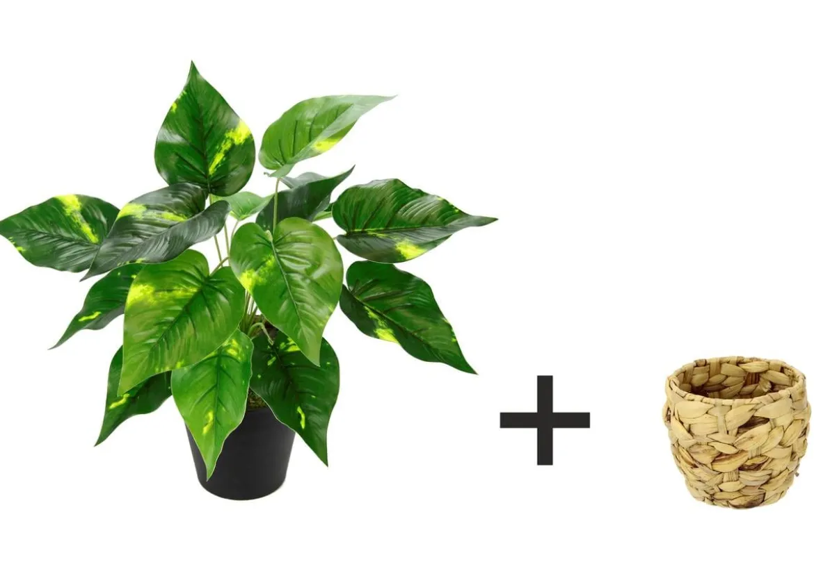 I.GE.A. Kunstpflanze Pothos im Wasserhyazinthentopf, ca. H40 cm