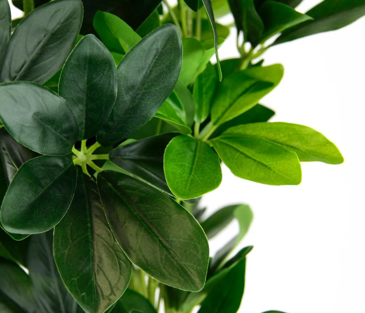 I.GE.A. Kunstpflanze Schefflera im Topf, ca. H83 cm