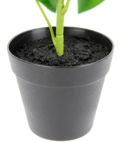 I.GE.A Kunstpflanze Schefflera im Wasserhyazinthentopf, ca. H48 cm
