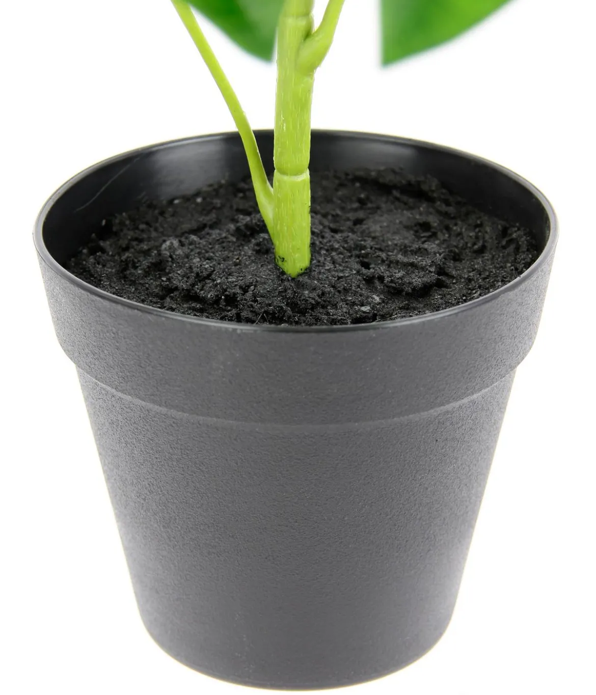 I.GE.A Kunstpflanze Schefflera im Wasserhyazinthentopf, ca. H48 cm