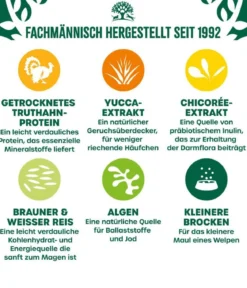 James Wellbeloved Trockenfutter für Hunde Puppy Truthahn & Reis, 2 kg