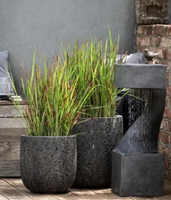Japanisches Blutgras 'Red Baron'