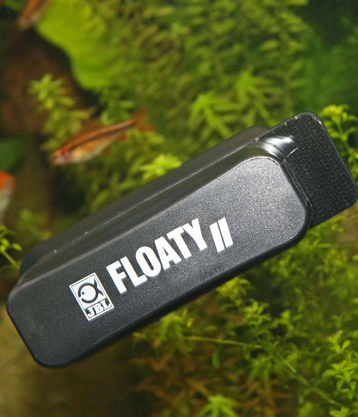 JBL Algenmagnet Floaty II für Aquarien