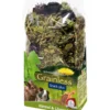 JR FARM Ergänzungsfutter Grainless Snack plus Kümmel & Löwenzahn, 100 g