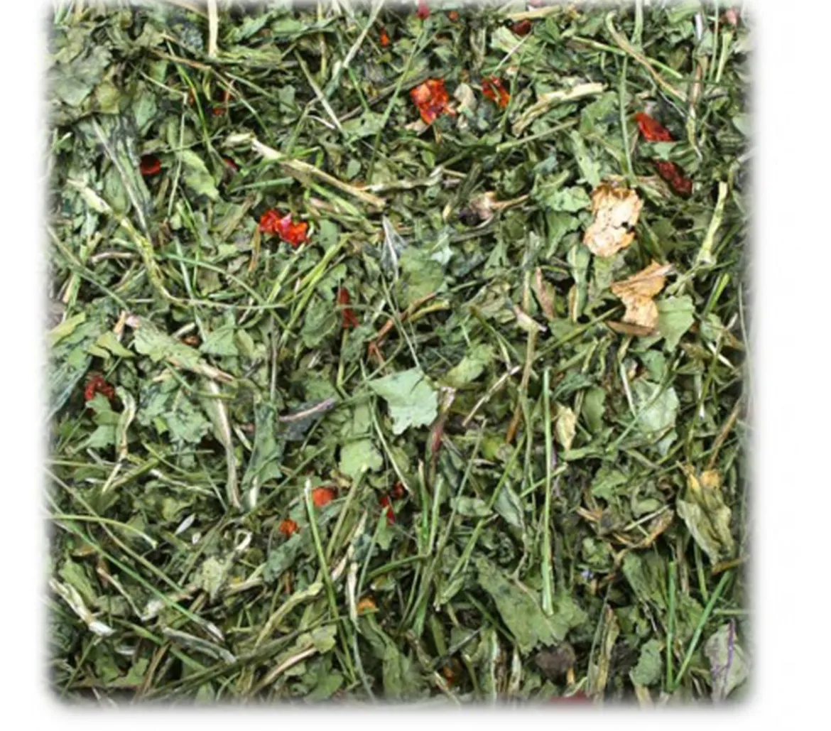 JR FARM Ergänzungsfutter Rucola & Tomate, 100 g