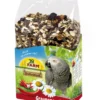 JR FARM Vogelfutter Individual Graupapagei, 950 g