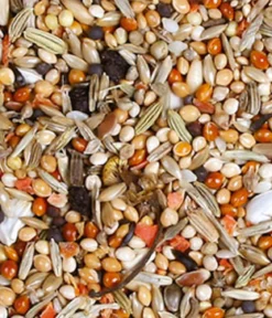 JR FARM Vogelfutter Individual Nymphensittich, 1 kg