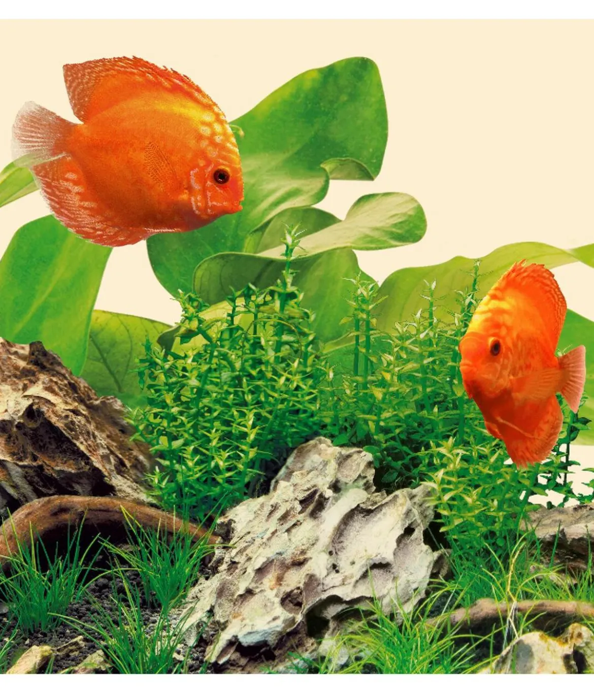 JUWEL® AQUARIUM Aquariumbeleuchtung Leuchte LED Nature