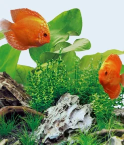 JUWEL® AQUARIUM Aquariumbeleuchtung Leuchte LED Day