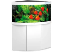 JUWEL® AQUARIUM Kombination Trigon 350 LED