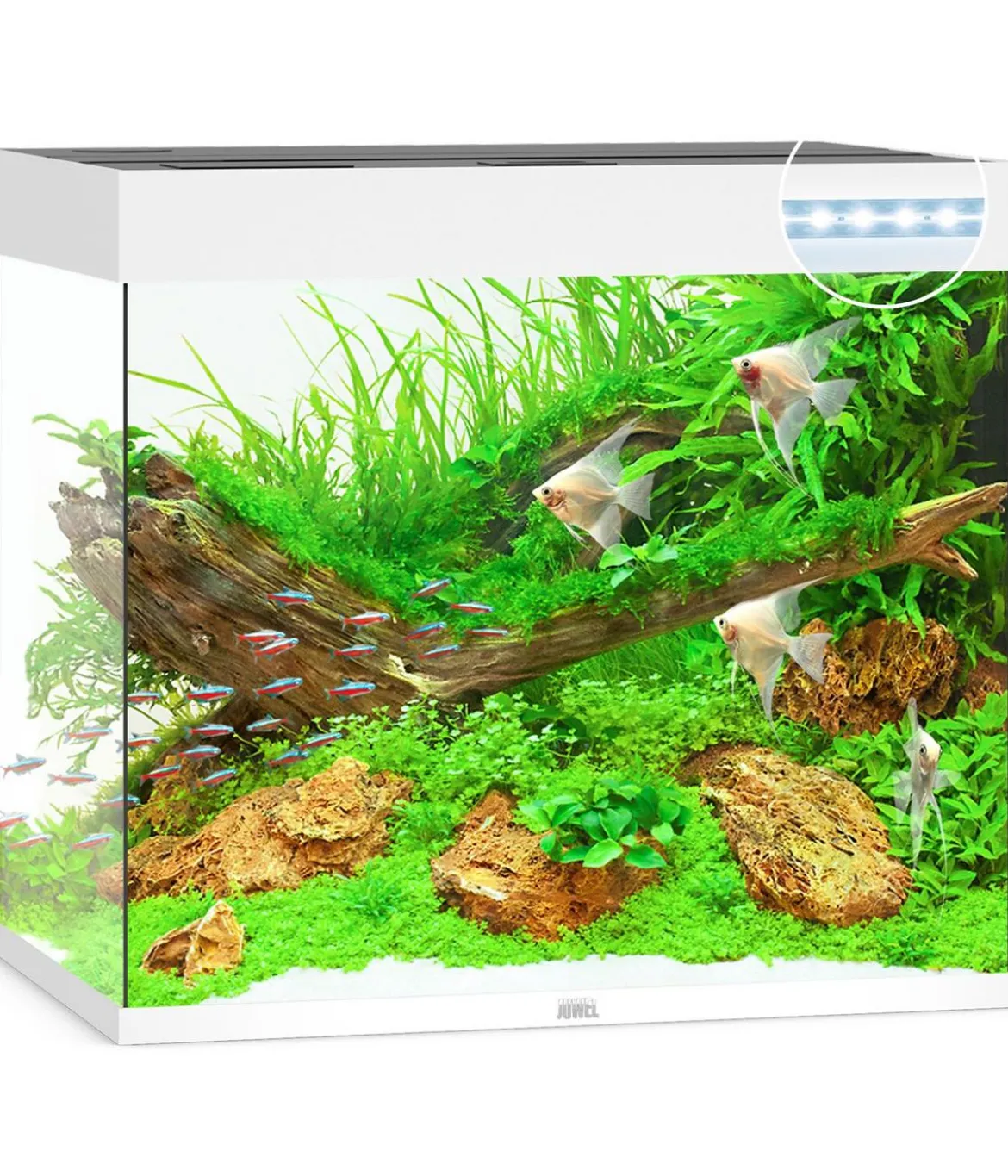 JUWEL® AQUARIUM Lido 200 LED