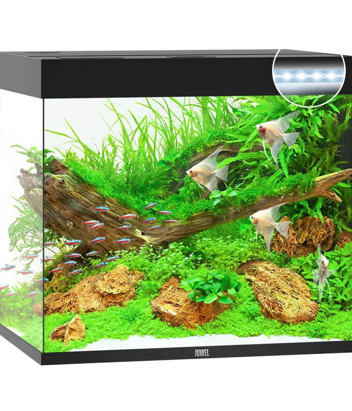 JUWEL® AQUARIUM Lido 200 LED
