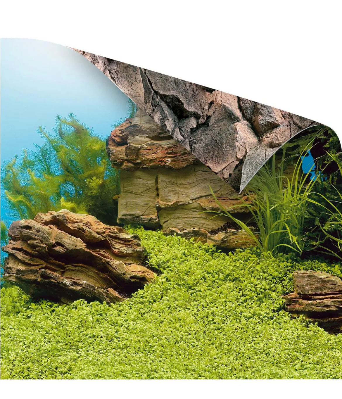 JUWEL® AQUARIUM Rückwand Poster 1