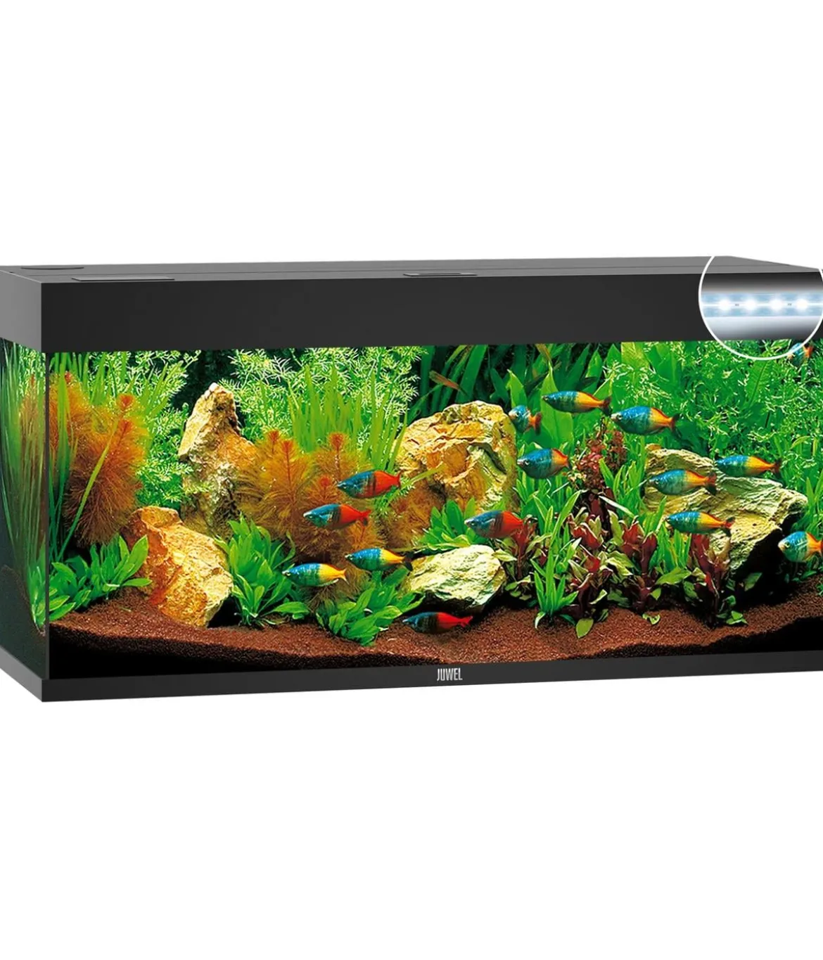 JUWEL® AQUARIUM Rio 180 LED