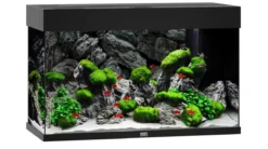 JUWEL® AQUARIUM Rio 125 LED