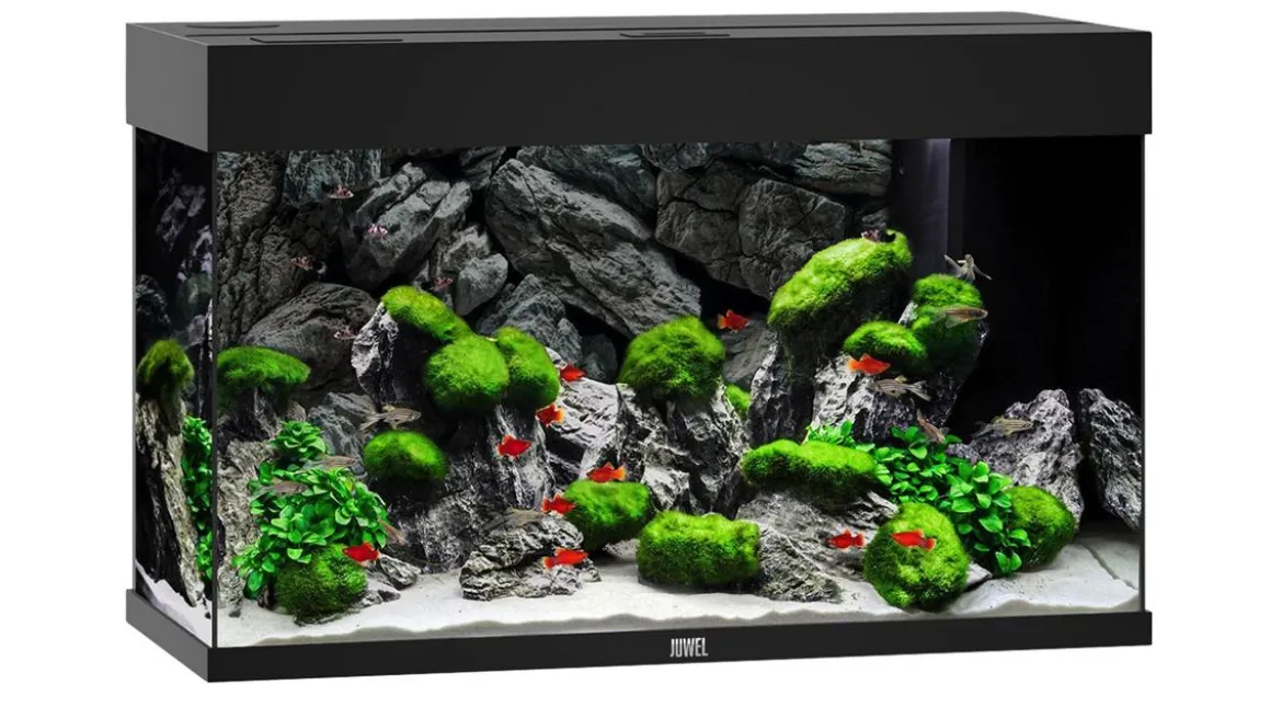 JUWEL® AQUARIUM Rio 125 LED