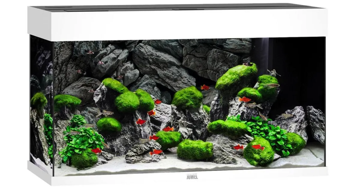 JUWEL® AQUARIUM Rio 125 LED