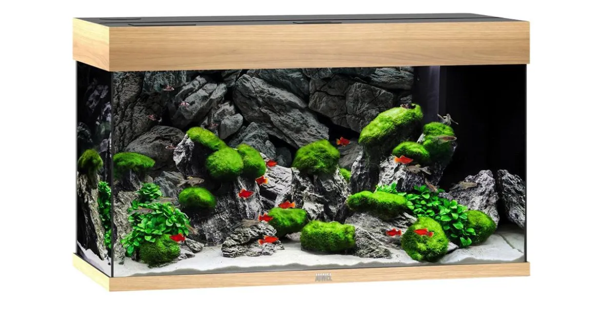 JUWEL® AQUARIUM Rio 125 LED