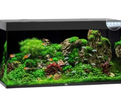 JUWEL® AQUARIUM Rio 350 LED