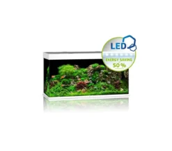 JUWEL® AQUARIUM Rio 350 LED