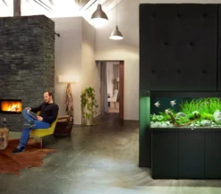JUWEL® AQUARIUM Rio 240 LED