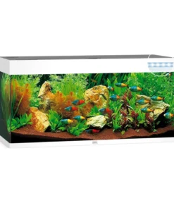 JUWEL® AQUARIUM Rio 240 LED