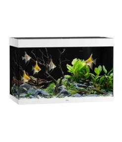 JUWEL® AQUARIUM Rio 290 LED, 290 l