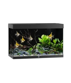 JUWEL® AQUARIUM Rio 290 LED, 290 l
