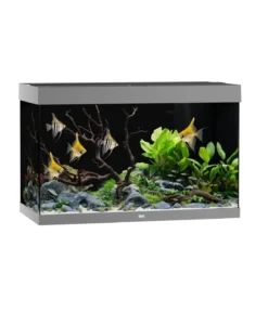JUWEL® AQUARIUM Rio 290 LED, 290 l