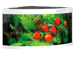 JUWEL® AQUARIUM Trigon 350 LED