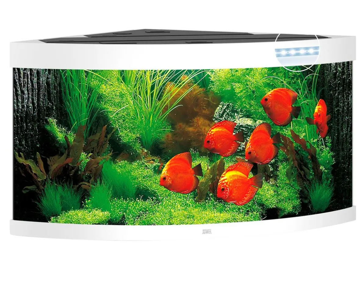 JUWEL® AQUARIUM Trigon 350 LED