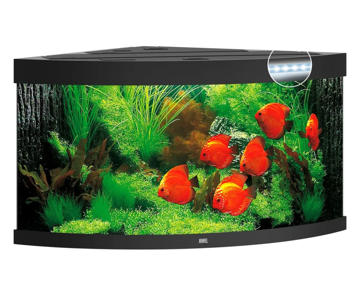 JUWEL® AQUARIUM Trigon 350 LED